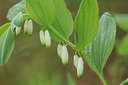 BUITEN BEELD Foto: 92524