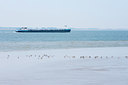 BUITEN BEELD Foto: 92601