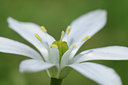BUITEN BEELD Foto: 92625