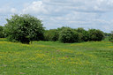 BUITEN BEELD Foto: 92634