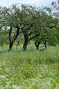 BUITEN BEELD Foto: 92638