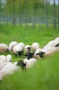 BUITEN BEELD Foto: 92648
