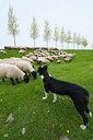 BUITEN BEELD Foto: 92672
