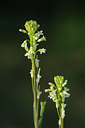 BUITEN BEELD Foto: 92738