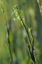 BUITEN BEELD Foto: 92741