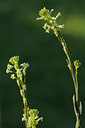 BUITEN BEELD Foto: 92743