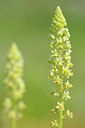 BUITEN BEELD Foto: 92759