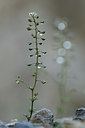 BUITEN BEELD Foto: 92785