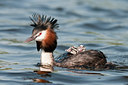 BUITEN BEELD Foto: 92802