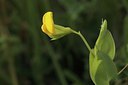 BUITEN BEELD Foto: 92857