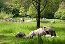 BUITEN BEELD Foto: 92955