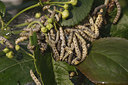 BUITEN BEELD Foto: 93008