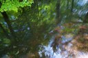 BUITEN BEELD Foto: 93145