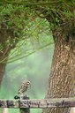 BUITEN BEELD Foto: 93193