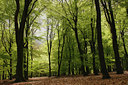 BUITEN BEELD Foto: 93237