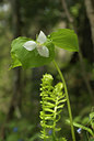 BUITEN BEELD Foto: 93242
