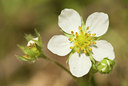 BUITEN BEELD Foto: 93256