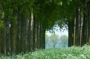 BUITEN BEELD Foto: 93273
