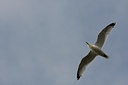 BUITEN BEELD Foto: 93315