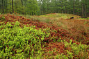 BUITEN BEELD Foto: 93382