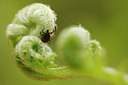 BUITEN BEELD Foto: 93395