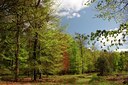 BUITEN BEELD Foto: 93398