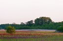 BUITEN BEELD Foto: 93424