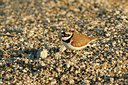 BUITEN BEELD Foto: 93451