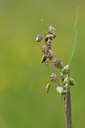 BUITEN BEELD Foto: 93508