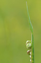 BUITEN BEELD Foto: 93509