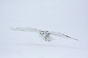 BUITEN BEELD Foto: 93562