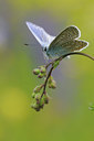 BUITEN BEELD Foto: 93668