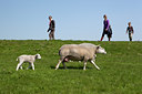 BUITEN BEELD Foto: 93716