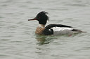 BUITEN BEELD Foto: 93747