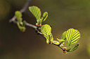BUITEN BEELD Foto: 93788