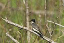 BUITEN BEELD Foto: 93826