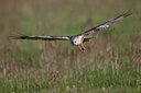 BUITEN BEELD Foto: 93905