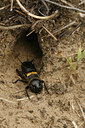 BUITEN BEELD Foto: 93977