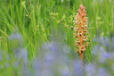 BUITEN BEELD Foto: 94015