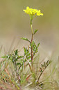 BUITEN BEELD Foto: 94057