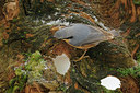 BUITEN BEELD Foto: 94190
