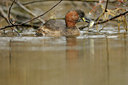 BUITEN BEELD Foto: 94202