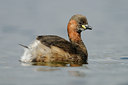 BUITEN BEELD Foto: 94207