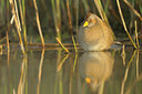 BUITEN BEELD Foto: 94221