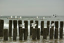 BUITEN BEELD Foto: 94274