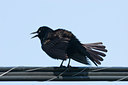 BUITEN BEELD Foto: 94309