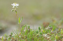 BUITEN BEELD Foto: 94347