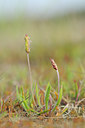 BUITEN BEELD Foto: 94353