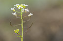 BUITEN BEELD Foto: 94358