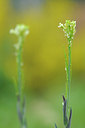 BUITEN BEELD Foto: 94380
